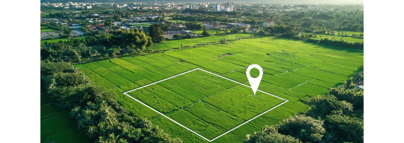 venora infra vision